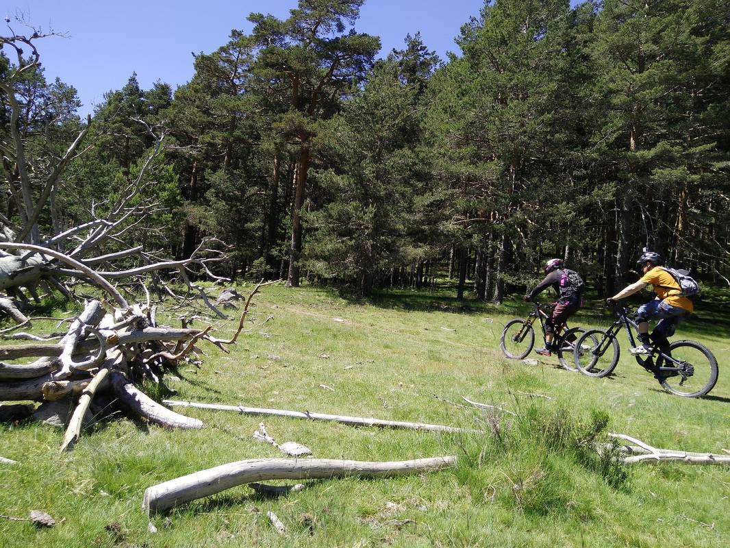 Mountain Bike Holidays Madrid Spain